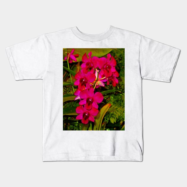 Orchid Study 21 Kids T-Shirt by bobmeyers